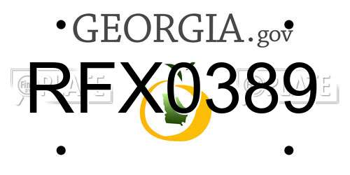 RFX0389 Georgia License Plate