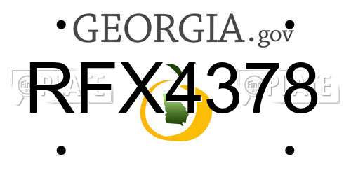 RFX4378 Georgia License Plate