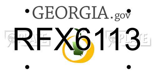 RFX6113 Georgia License Plate