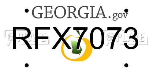 RFX7073 Georgia License Plate