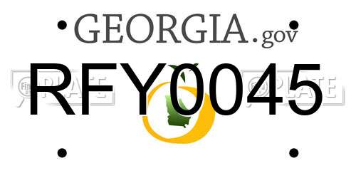 RFY0045 Georgia License Plate