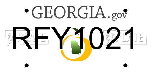 RFY1021 Georgia License Plate