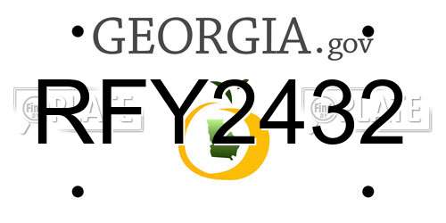 RFY2432 Georgia License Plate
