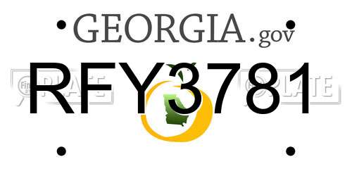 RFY3781 Georgia License Plate