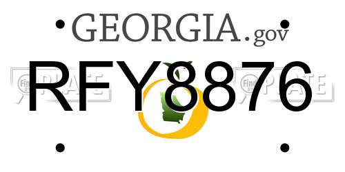 RFY8876 Georgia License Plate