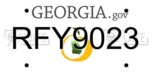 RFY9023 Georgia License Plate