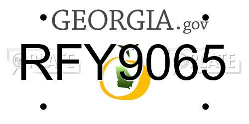 RFY9065 Georgia License Plate