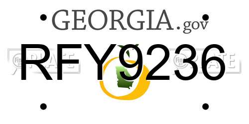 RFY9236 Georgia License Plate