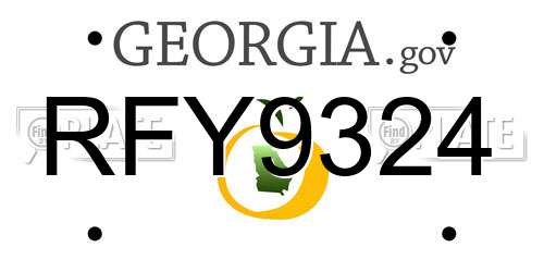 RFY9324 Georgia License Plate