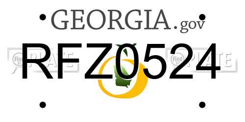 RFZ0524 Georgia License Plate