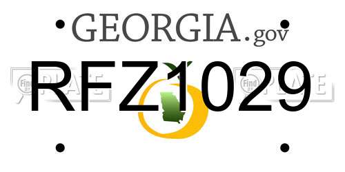 RFZ1029 Georgia License Plate