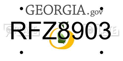 RFZ8903 Georgia License Plate