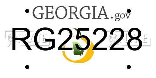 RG25228 Georgia License Plate