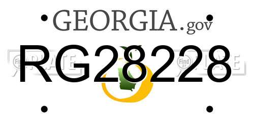 RG28228 Georgia License Plate
