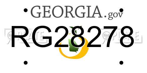 RG28278 Georgia License Plate