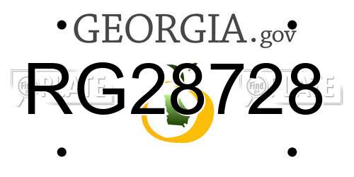 RG28728 Georgia License Plate