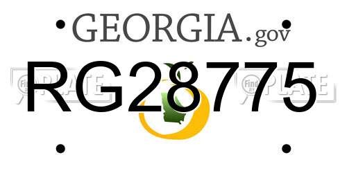 RG28775 Georgia License Plate