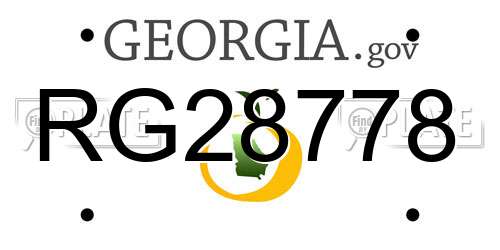 RG28778 Georgia License Plate