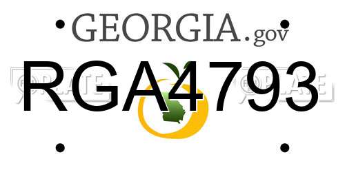 RGA4793 Georgia License Plate