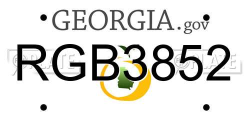 RGB3852 Georgia License Plate