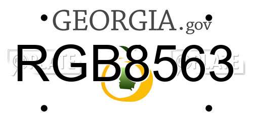 RGB8563 Georgia License Plate