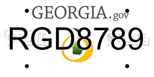 RGD8789 Georgia License Plate