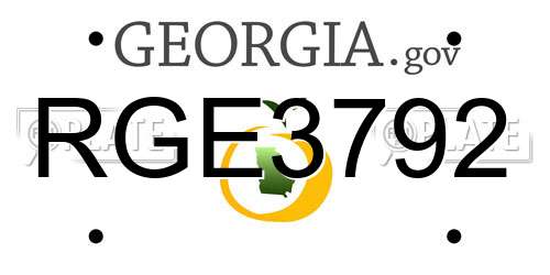 RGE3792 Georgia License Plate