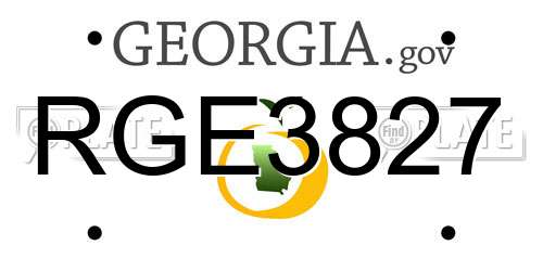RGE3827 Georgia License Plate