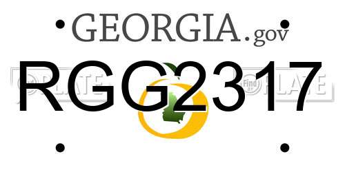 RGG2317 Georgia License Plate