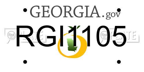 RGI1105 Georgia License Plate