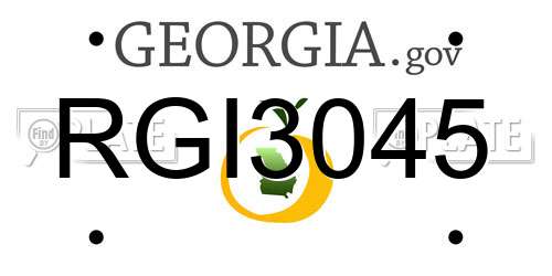 RGI3045 Georgia License Plate