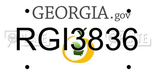 RGI3836 Georgia License Plate