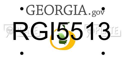 RGI5513 Georgia License Plate