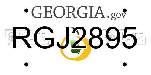 RGJ2895 Georgia License Plate