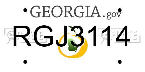 RGJ3114 Georgia License Plate