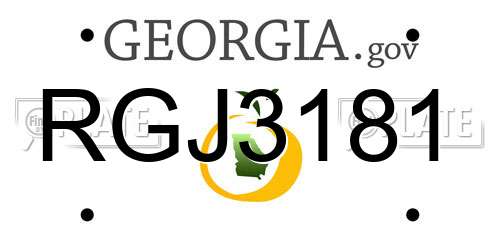 RGJ3181 Georgia License Plate