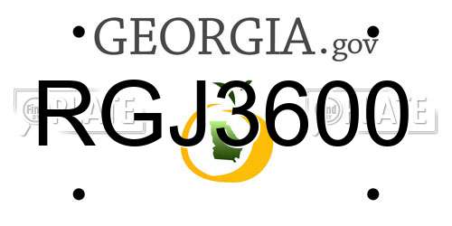 RGJ3600 Georgia License Plate
