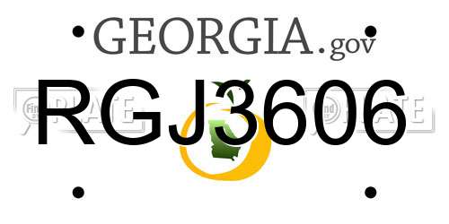 RGJ3606 Georgia License Plate