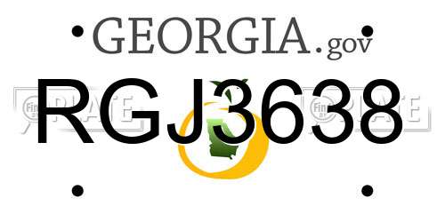 RGJ3638 Georgia License Plate