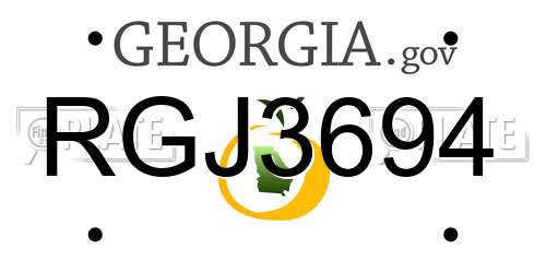 RGJ3694 Georgia License Plate