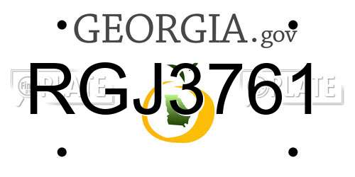 RGJ3761 Georgia License Plate