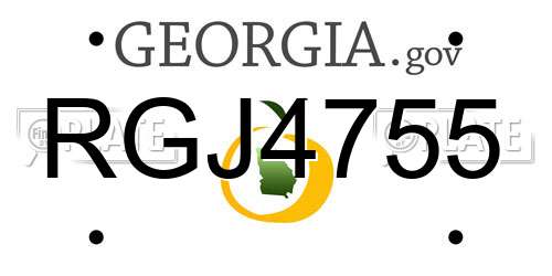 RGJ4755 Georgia License Plate