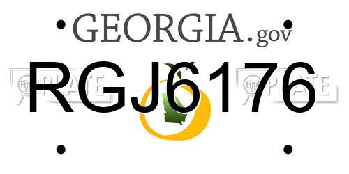 RGJ6176 Georgia License Plate