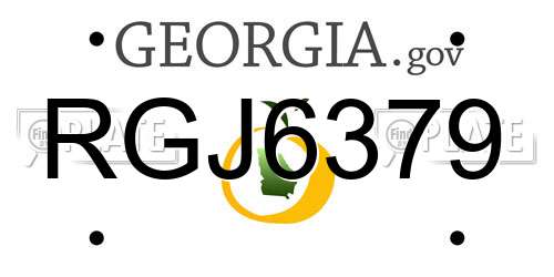 RGJ6379 Georgia License Plate