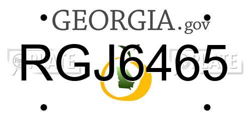 RGJ6465 Georgia License Plate