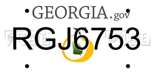 RGJ6753 Georgia License Plate