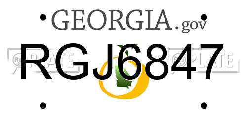 RGJ6847 Georgia License Plate