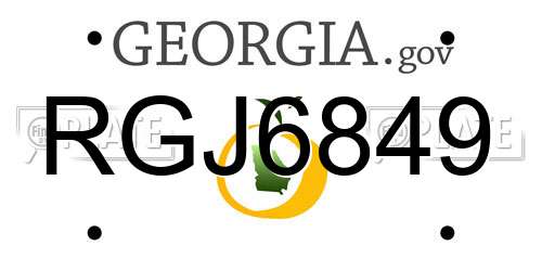 RGJ6849 Georgia License Plate