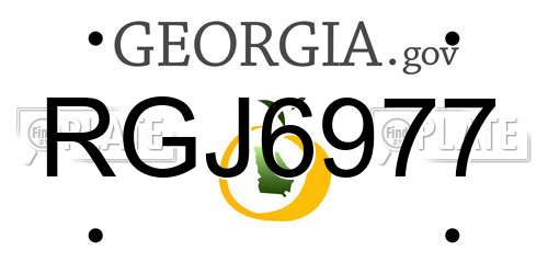 RGJ6977 Georgia License Plate