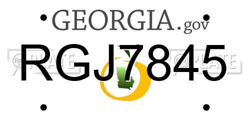 RGJ7845 Georgia License Plate
